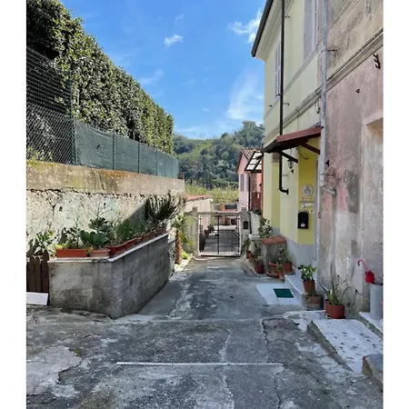 Matrimoniale Pensionat Carrara